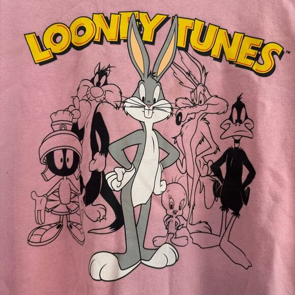 Looney Tunes Bugs Bunny and Gang Crew Neck Sweatshirt Size Youth XXL Powder Pink - Picture 3 of 8